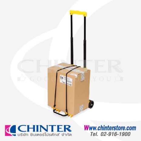 WPF-016-03 WPF-016-03