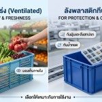อินโฟกราฟิกเปรียบเทียบลังพลาสติก 2 ประเภท: ด้านซ้ายคือลังโปร่ง (Ventilated) บรรจุผลไม้และผักสด แสดงข้อดีเรื่อง "ระบายอากาศ" "ลดความชื้น" และ "มองเห็นภายใน"; ด้านขวาคือลังทึบ (Solid) บรรจุชิ้นส่วนอิเล็กทรอนิกส์ แสดงข้อดีเรื่อง "กันฝุ่นและสิ่งสกปรก" "กันน้ำหยด" และ "จัดเก็บมิดชิด" โดยมีข้อความท้ายว่า "เลือกให้เหมาะกับการใช้งาน